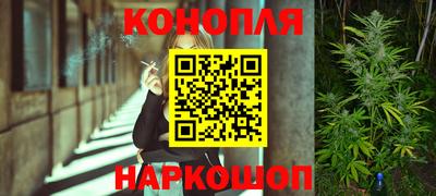 крисы Гай