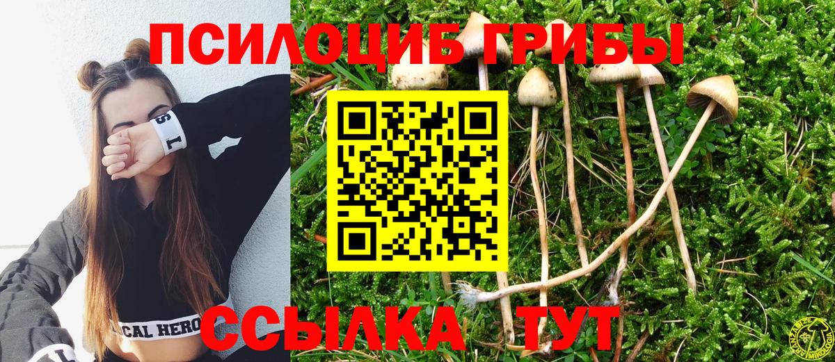 Псилоцибиновые грибы прущие грибы Сердобск